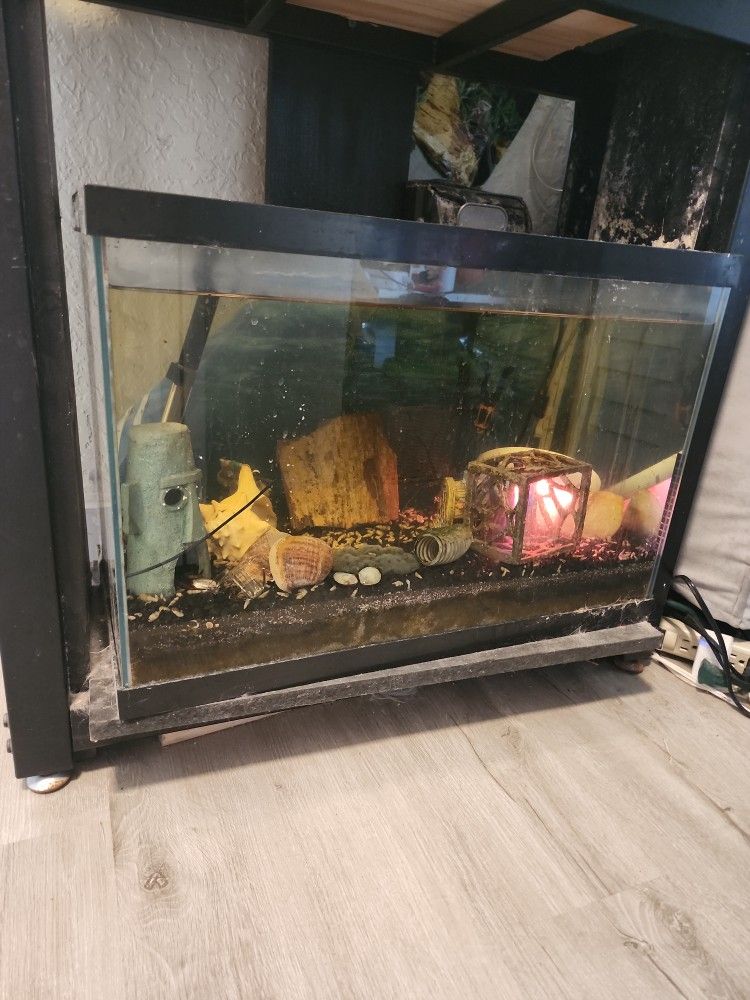 20 Gallon Fish Tank/Aquarium 