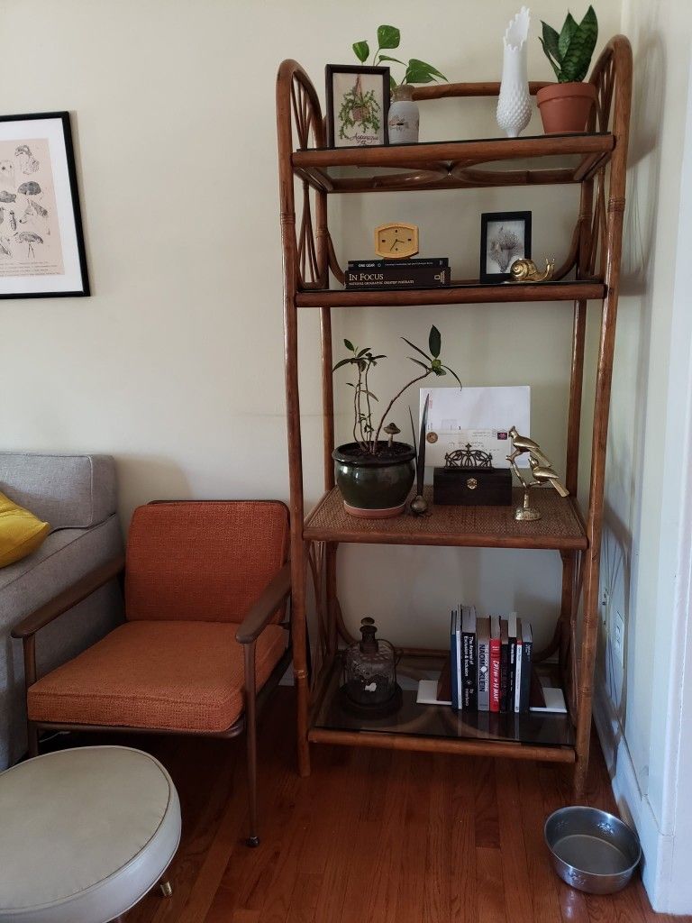 Mid Century/Boho Bamboo Shelf