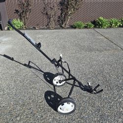 Push/Pull Golf Caddy 