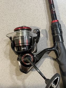 Fishing setup spinning rod and reel