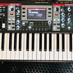 Roland V Stage 76 Gator Case