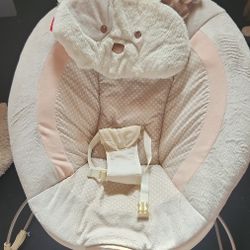 Baby Bouncer 