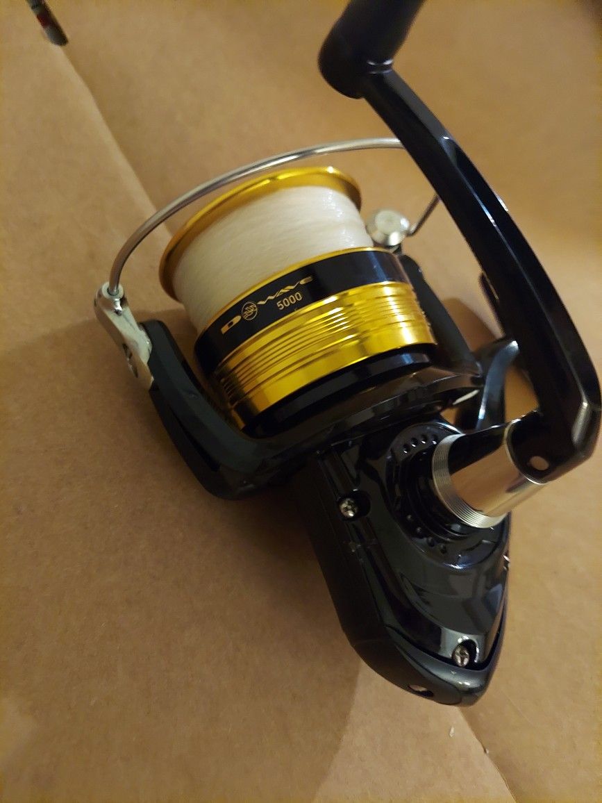 Daiwa Saltwater Reel