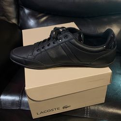Lacoste