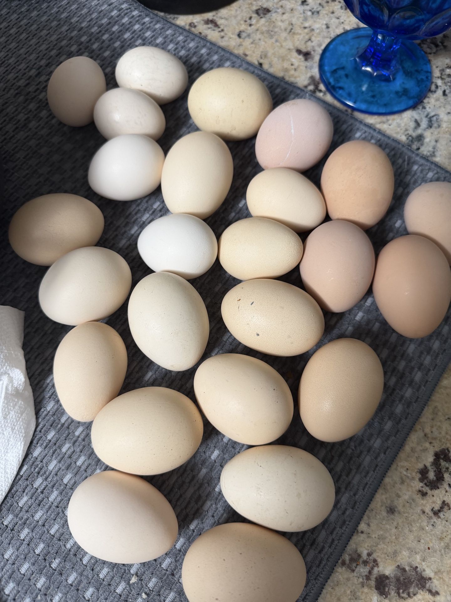 Fresh Eggs