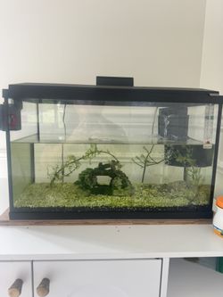 10 Gallon Fish Tank