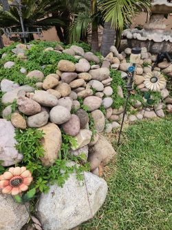 River Rock 20 Dlls 5 Gal Bucket