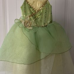 Disney Princes Tianna Dress Up Gown