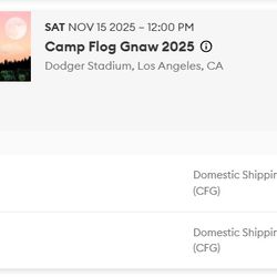 1 2-Day Camp Flog Gnaw GA Ticket