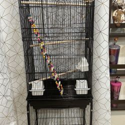 Bird Cage (New)