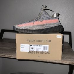 Adidas Yeezy Boost 350 V2 Ash Stone Size 12