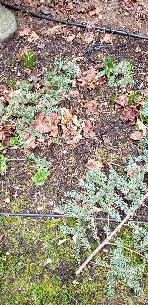 Pfluger Padron model 3180 steel cable line with Fiberglass rod