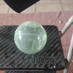 Hamster Or Mouse Ball