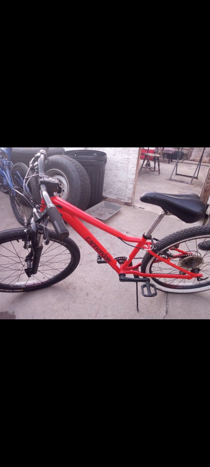 Cannondale 