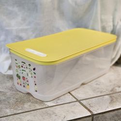Tupperware Refrigerator Veggie Keeper