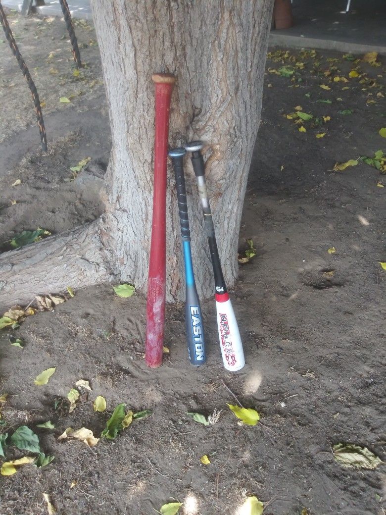 Baseball Bats