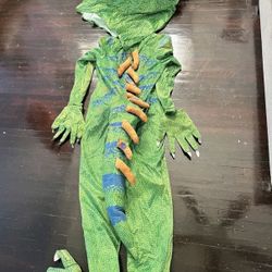 Iguana Costume 