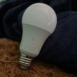 Bluetooth Lightbulb 