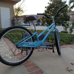 Fuji Beach Cruiser