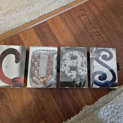 CHICAGO CUBS HANDMADE WALL PLAQUE NEW