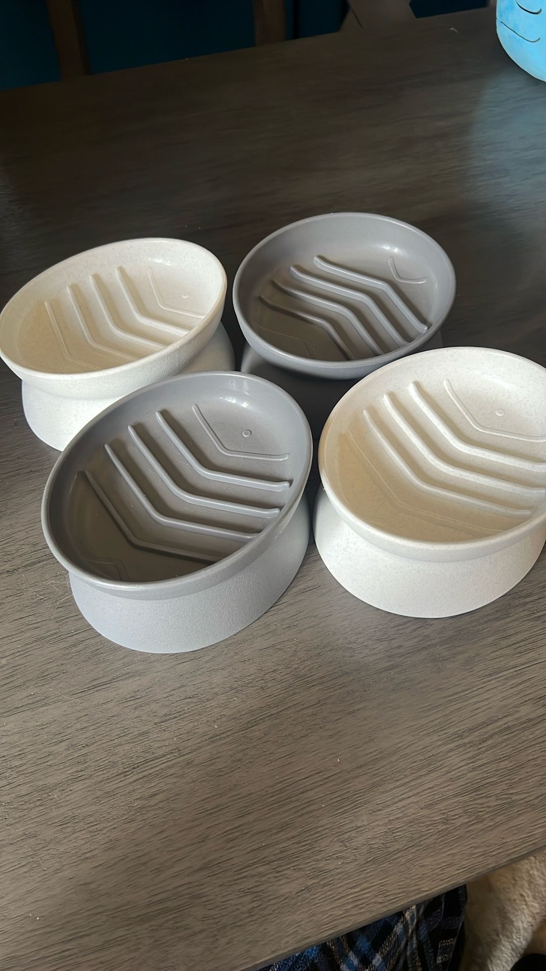 Cat Food Bowls: Raised And Slow Feeders