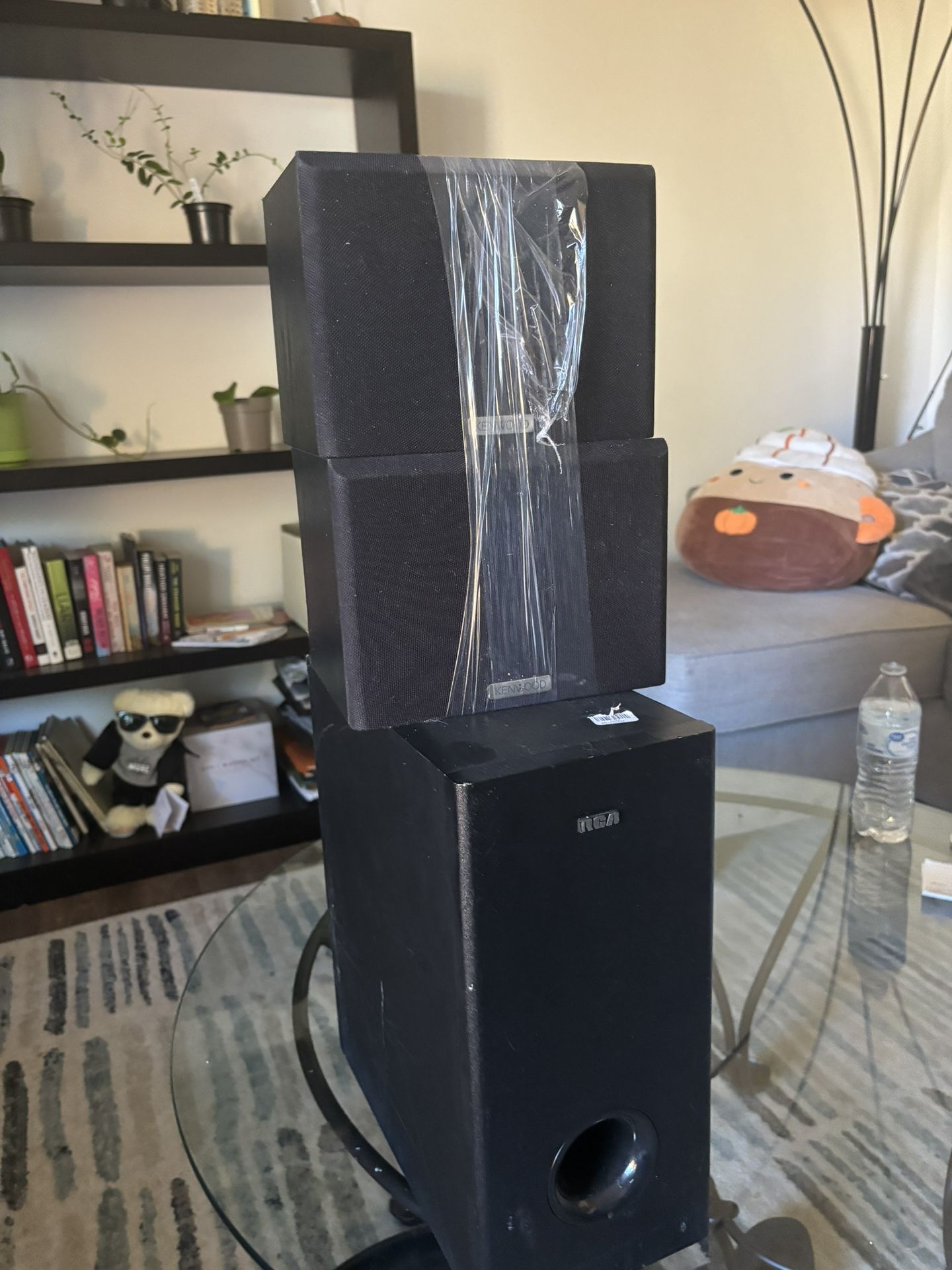 Subwoofer And Speakers 