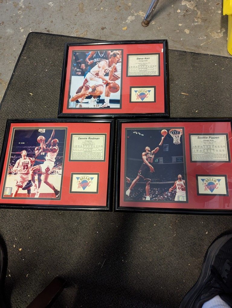 Chicago Bulls Framed Collection