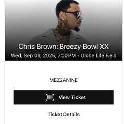Chris Brown Concert Ticket