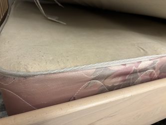 Twin box Spring ( Free)