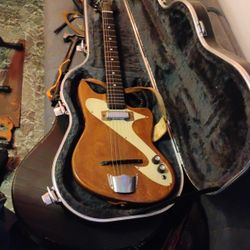 Electric Guitar