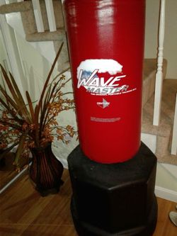 Training bag