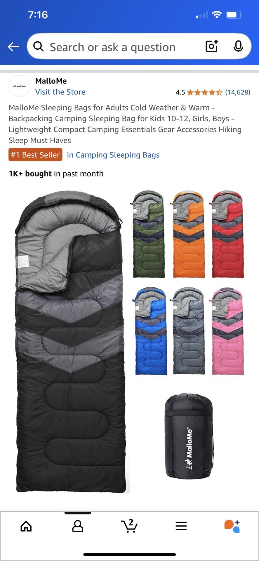 Sleeping Bag
