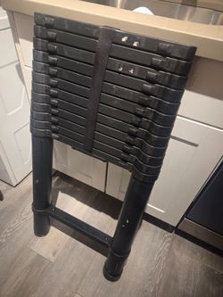 Telescoping ladder 12.5 ft