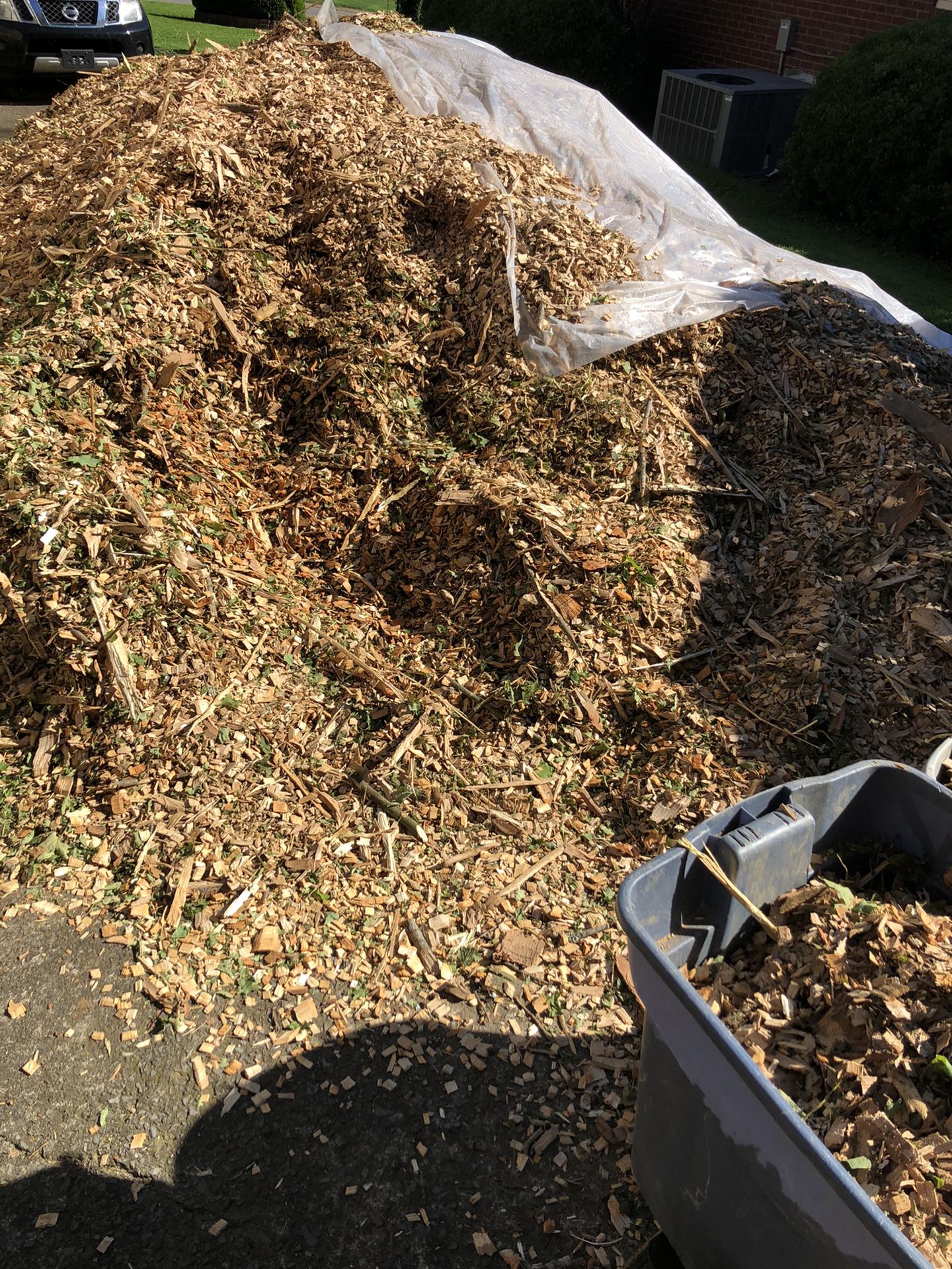 Free wood chip Antioch near lake *still available