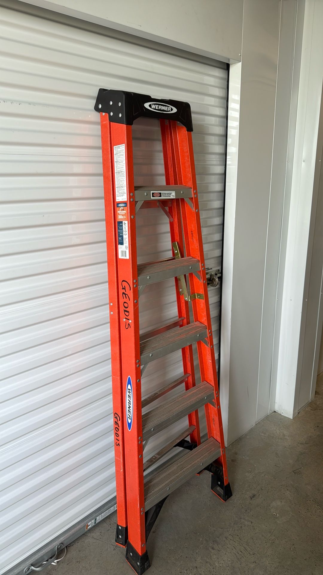 6 Ft Ladder By Werner