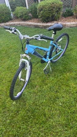 Schwinn Girls Bike