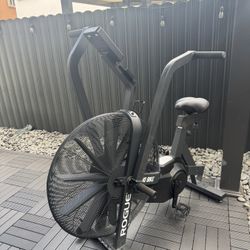 ROGUE ECHO BIKE V3.0