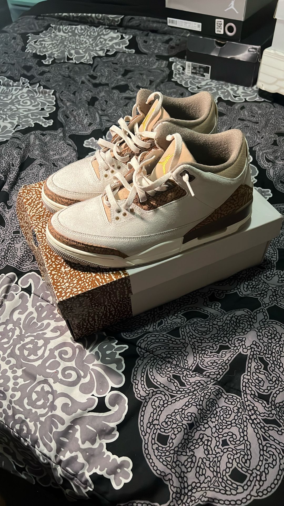 Jordan 3