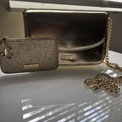 Jimmy Choo Gold Purse with Gold wallet/ Size of purse : small - medium/Size of wallet: Small/ Color of purse and wallet : Gold