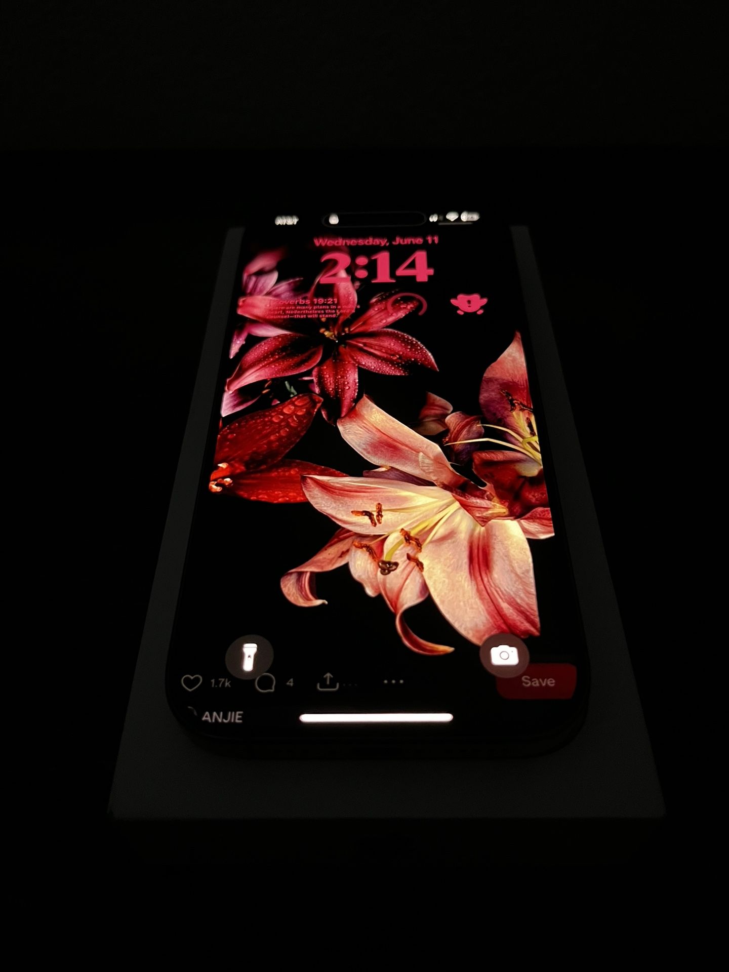 iPhone 16 Pro