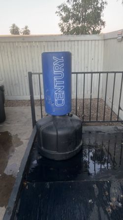 CENTURY  (wave master ) punching bag