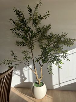 8’ Faux Olive Tree