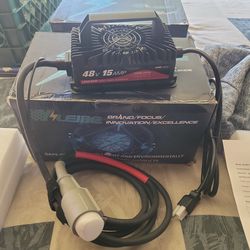 Golf cart 48volt charger