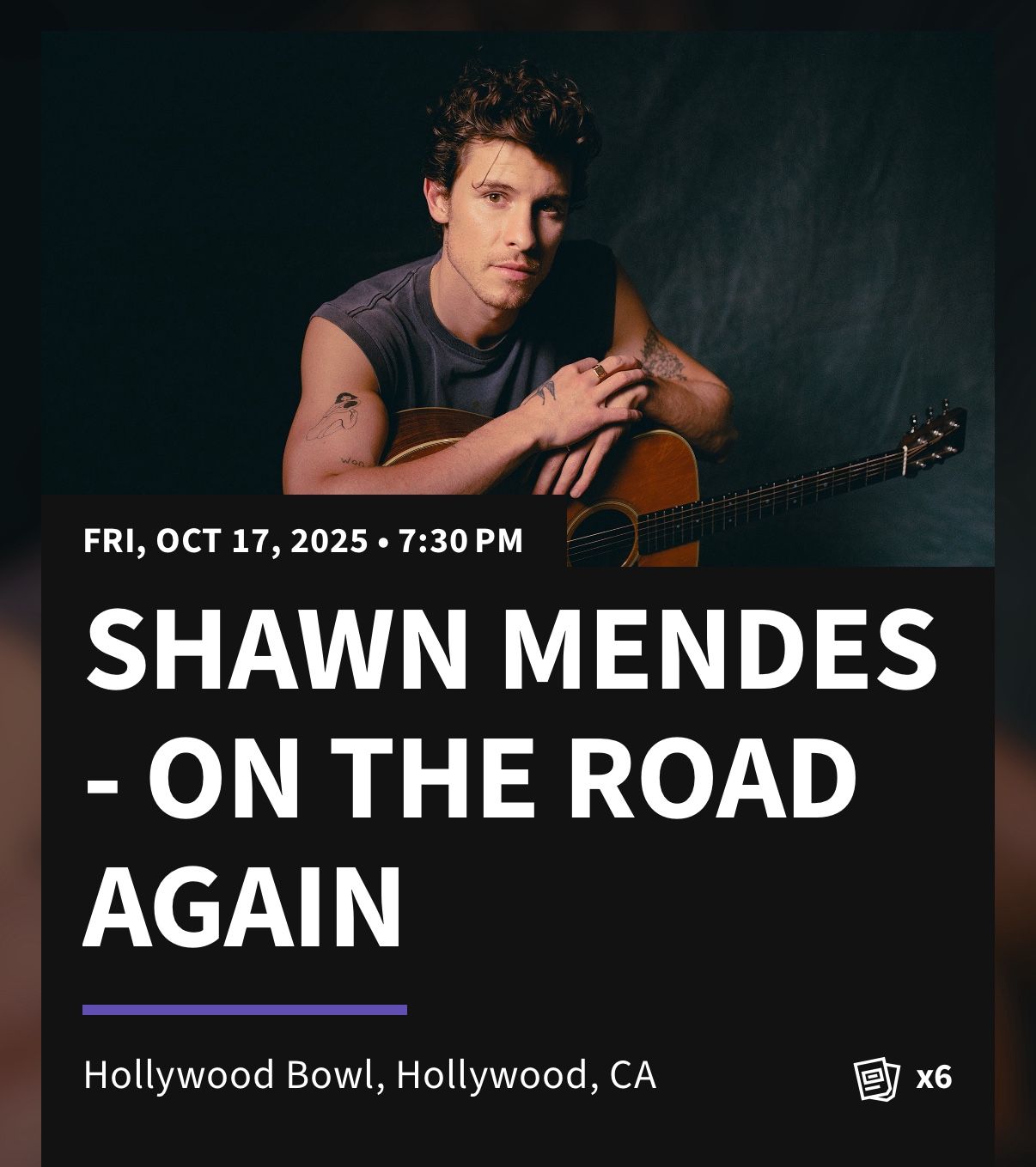 Shawn Mendes Concert Tickets 