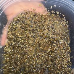 Homemade Lavender Lip Scrub