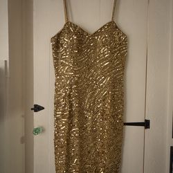 Vintage Sequin Dress