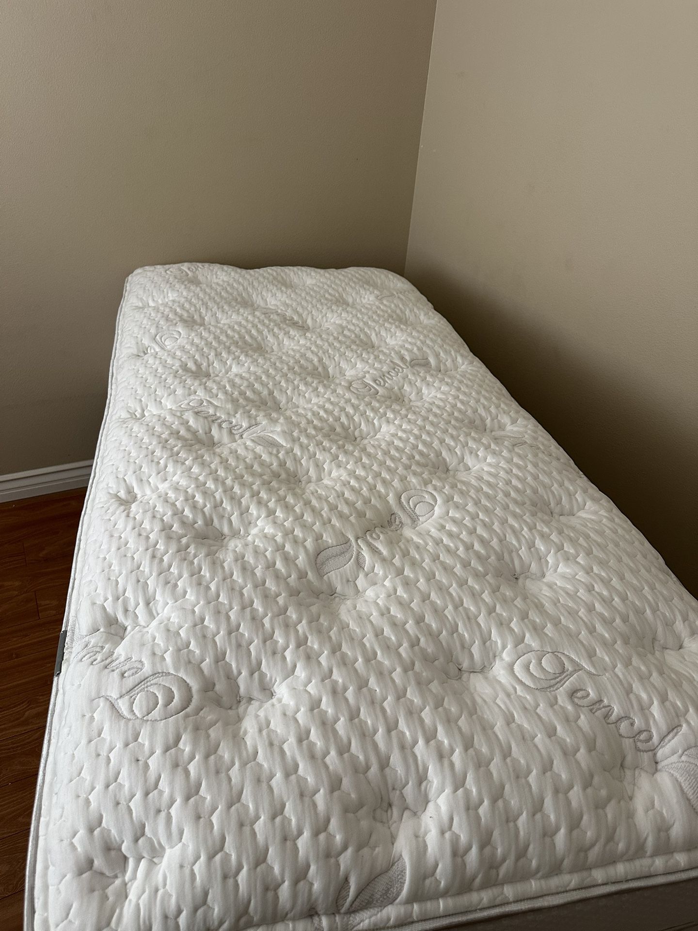 Twin XL Mattress & Box Spring
