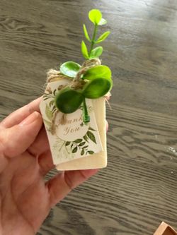 Soap party favors. 48 count.