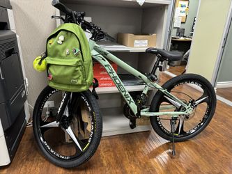 Phoenix Mountain Bike (Almost new)
