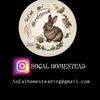 Homesteading 🐥🐣🥚🪺🐇